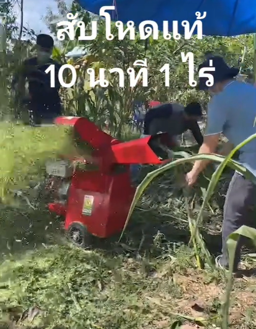 รีวิวสับต้นข้าวโพด 10นาทีต่อไร่