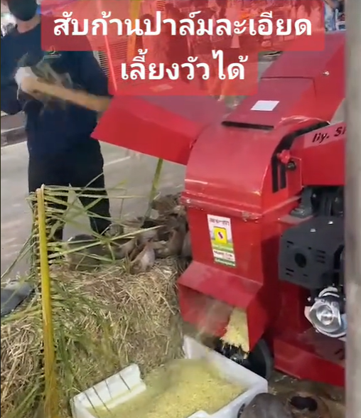 รีวิวสับทางปาล์มละเอียด ทำอาหารวัว